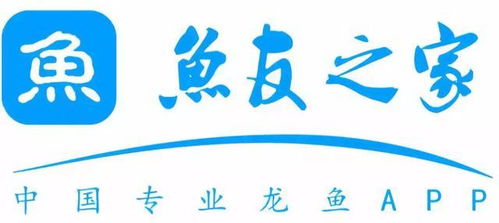 長(zhǎng)城專(zhuān)訪｜魚(yú)友之家 多形態(tài)展示背后的唯一服務(wù)宗旨——數(shù)字文化創(chuàng)意內(nèi)容應(yīng)用服務(wù)的創(chuàng)新實(shí)踐